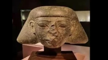 عودة أثرية نادرة هولندية.. مصر تستعيد قطعة عمرها 3500 عام